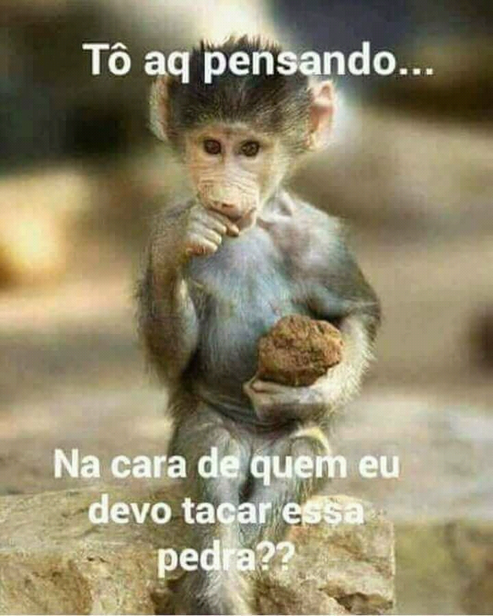 Amizades