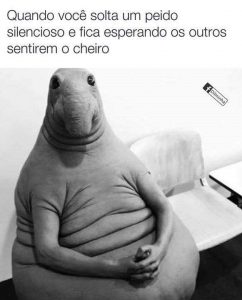 Memes 24hs ✌?
