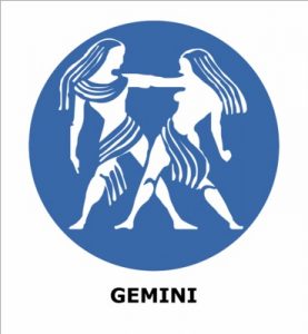 Gemini Family