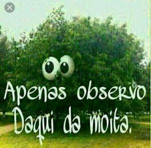 Zueiras