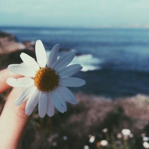 ?Frases & Status Tumblr?