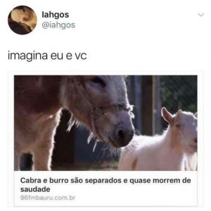 CRUSH 2018