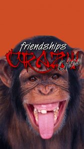 Friendships Crazy