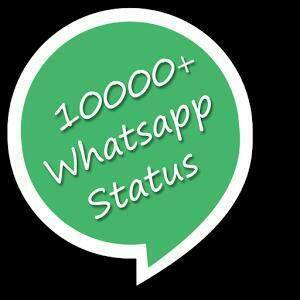 VISUALIZAÇÕES EM STATUS