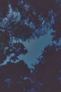 The Sky abou us
