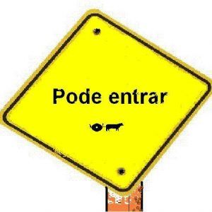SOCIALIZAR TA LIGADU?