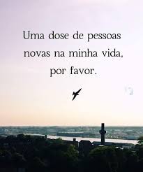 Novas amizades