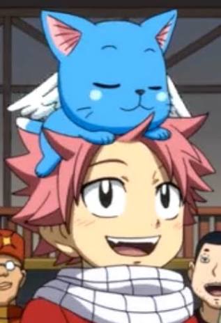 Fairy Tail, Competiçoes e RPGs de animes
