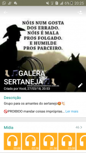 GALERA SERTANEJA