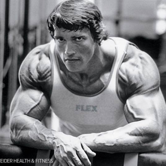 ?? TeamGYM ??? – Musculação, dieta e afins