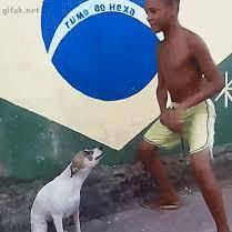 Brasil vs Brasil