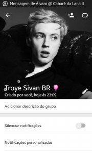 Troye Sivan BR