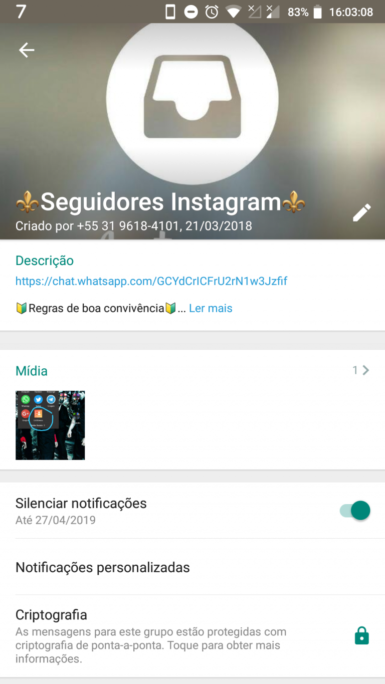 Seguidores Instagram