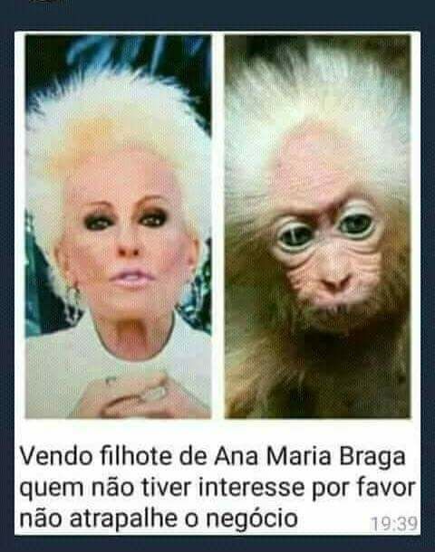 Só Videos Engraçados