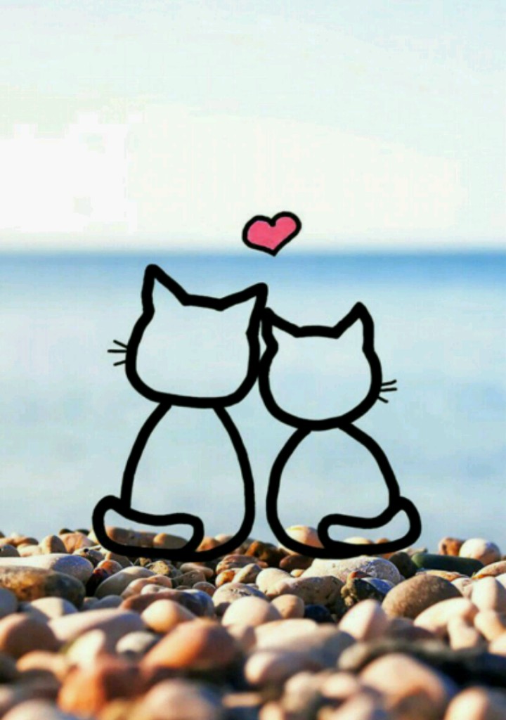 Virtual Friends ?❤