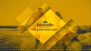 Grupo Hinode