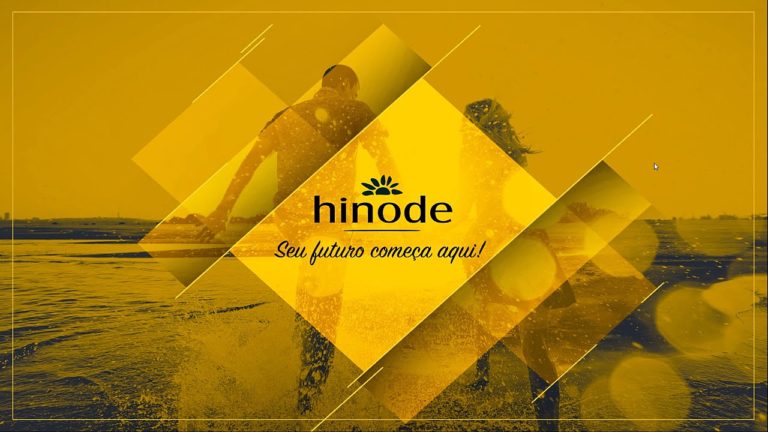 Grupo Hinode