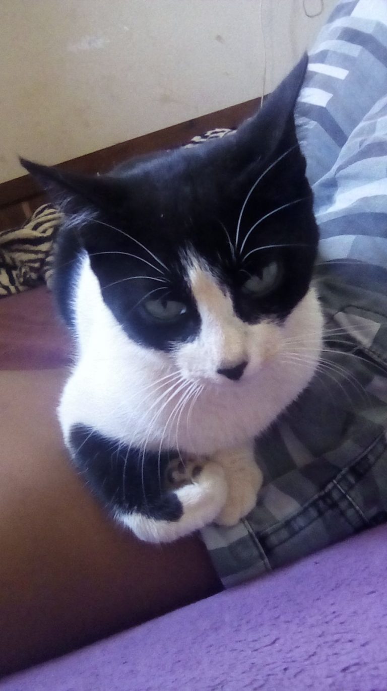 Coloque o nome você ???