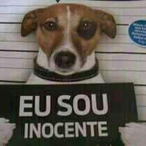Zueira news
