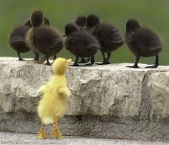 Excluido No Mundo…