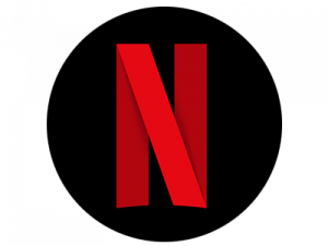 NETFLIX &SPOTIFY &BINS