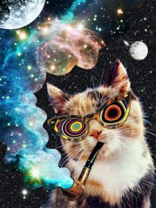 ? Ṏຮ αľŭċїήαđŏš ?