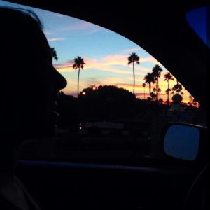 Night Vibes