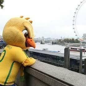 Canarinho Felizão (nome momentâneo)