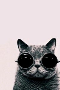 Chama no Probleminha \’ ?