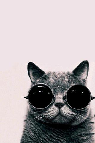 Chama no Probleminha \’ ?