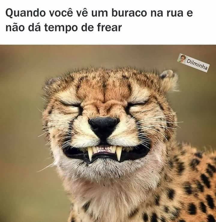 Disposto a tudo. Fracos Nao entre (integrantes limitados)