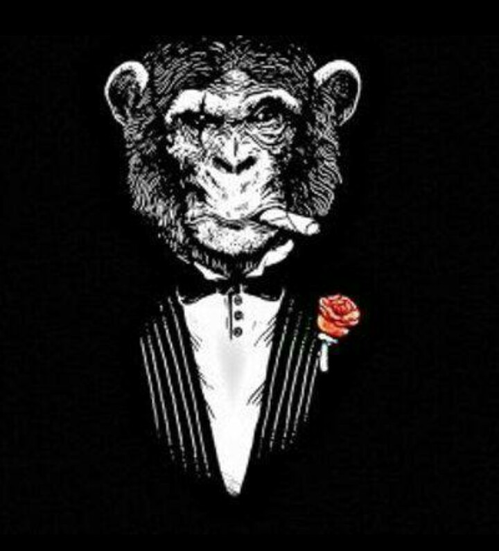 ??°•ỮŇƗV€ŘŞØ ƤΔŘΔŁ€ŁØ•°??