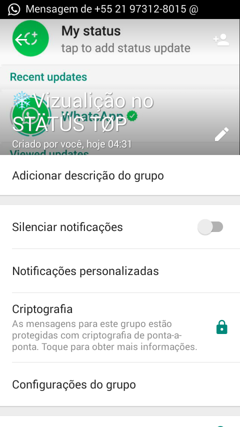 Visualizaçoes no status