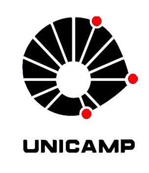COMVEST UNICAMP/2019