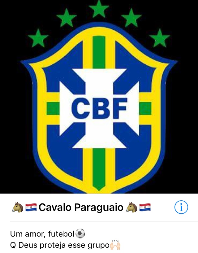 ???CAVALO PARAGUAIO???