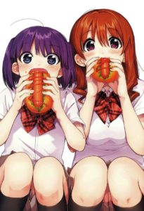 Paraíso dos otakus