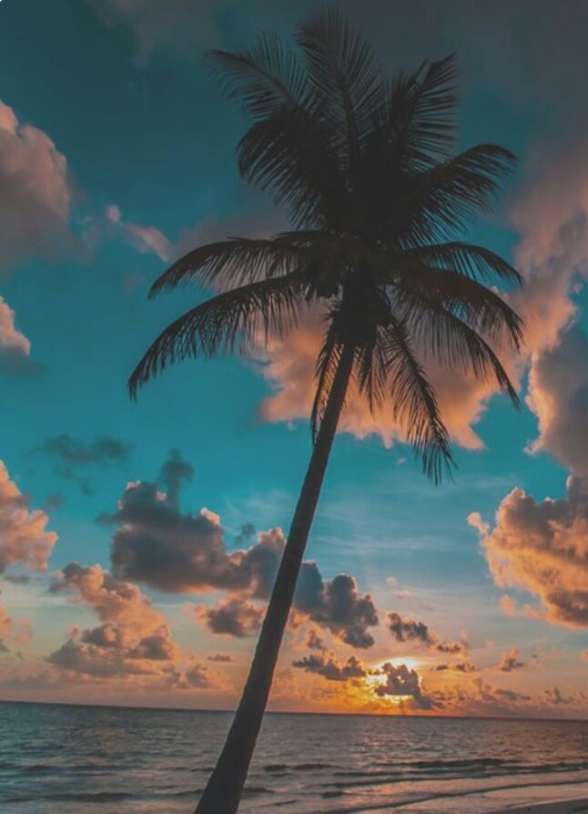 ?•Ｓモ匚∪ㄥ口 21•?