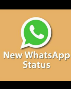 Visualizações dos status ✔