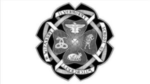 RPG: Ilvermorny