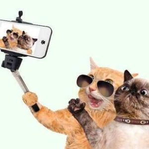 VIDEOS ENGRAÇADOS 2