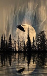 In The Nightside Eclipse