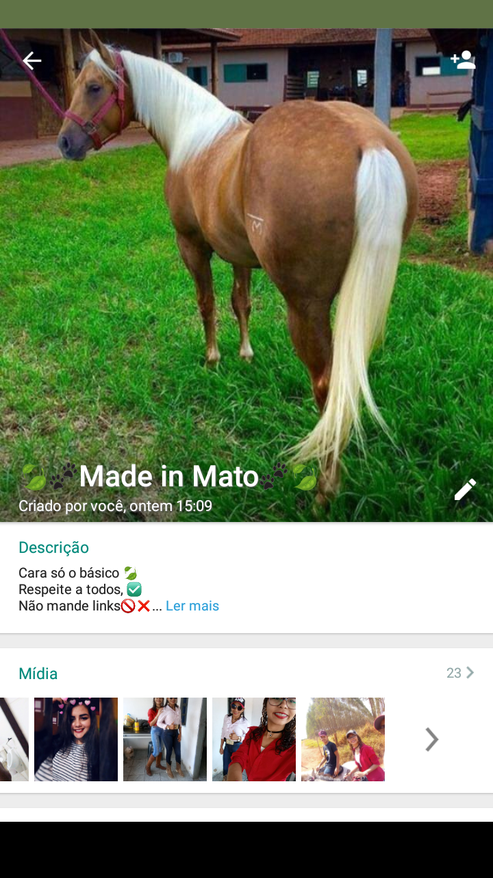 ?Made in Mato??