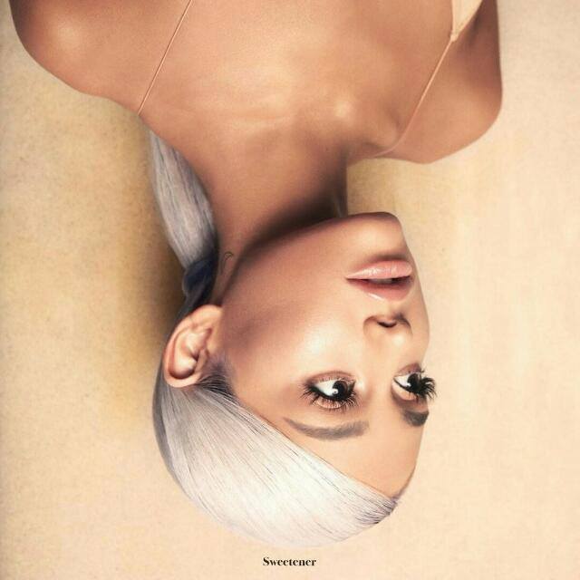 sǫᴜᴀᴅ ʙᴜᴛᴇʀᴀ ✨?