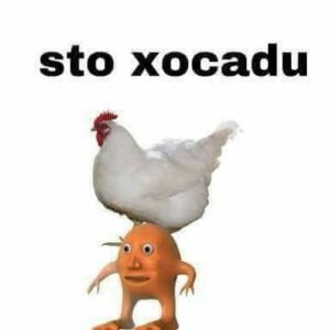 Divulgação de grupos do whats
