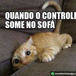 Os doidos do zap zap