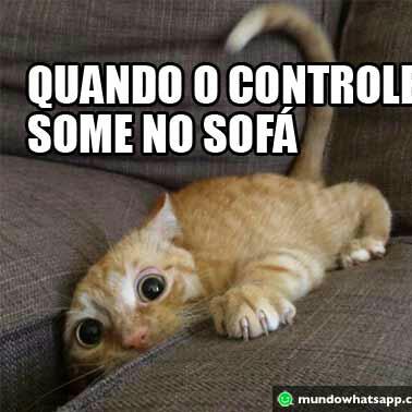 Os doidos do zap zap
