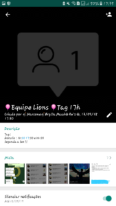 ?? *MEGA TAG LIONS* ??