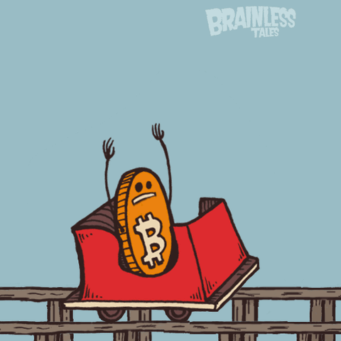 Bitcoin estudos