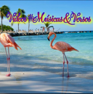 Videos #Músicas & Versos