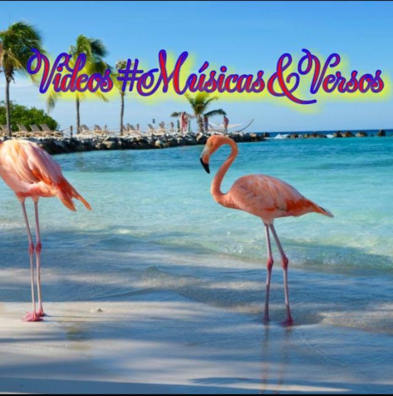 Videos #Músicas & Versos